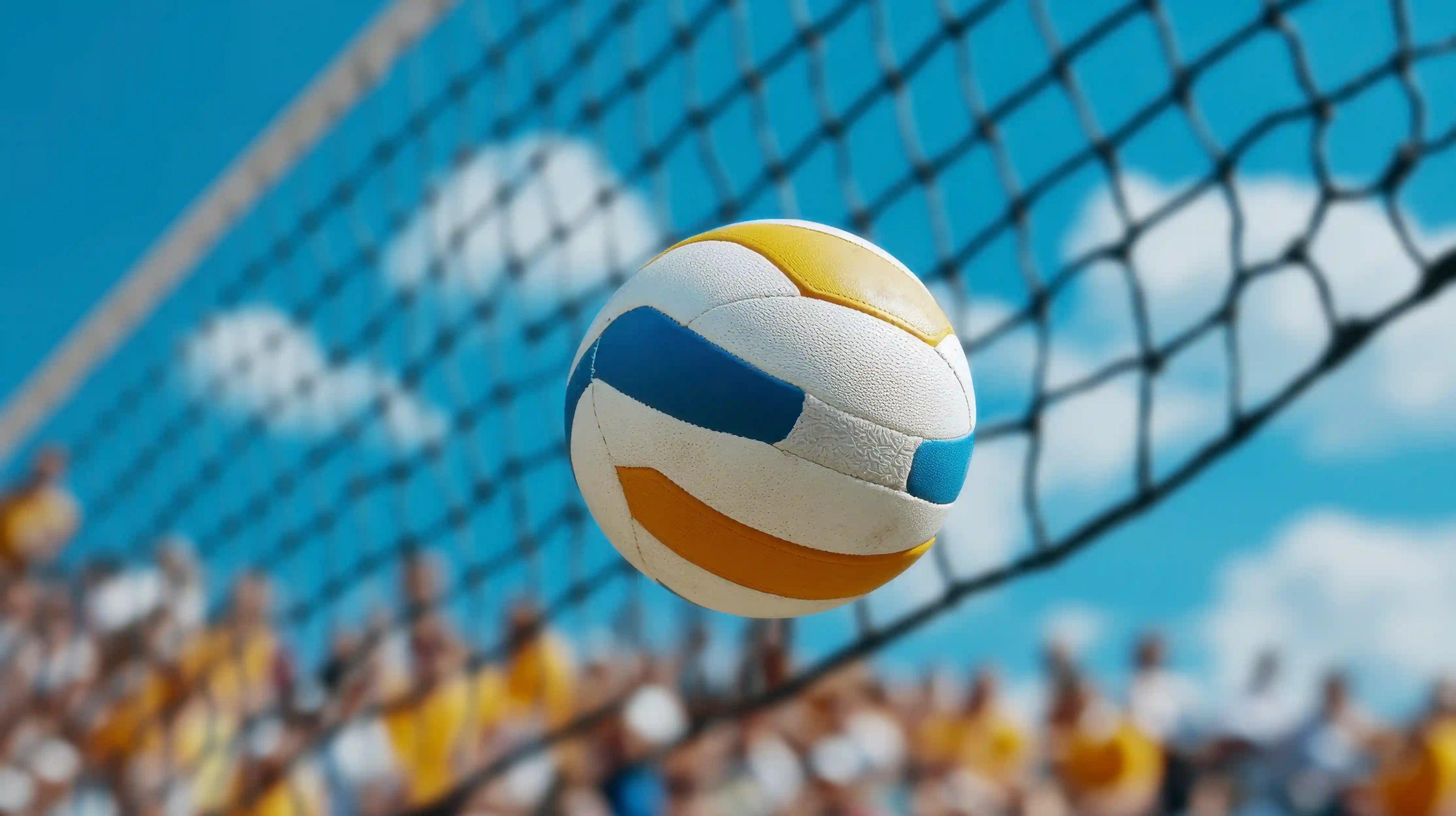 Professional sports facilities